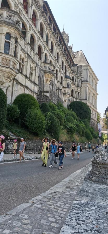 Apartamento Le Logis De La Rue Des Arts Blois Exterior foto