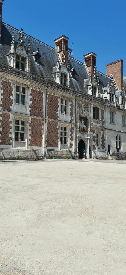 Apartamento Le Logis De La Rue Des Arts Blois Exterior foto
